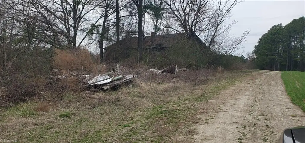 Picture 24