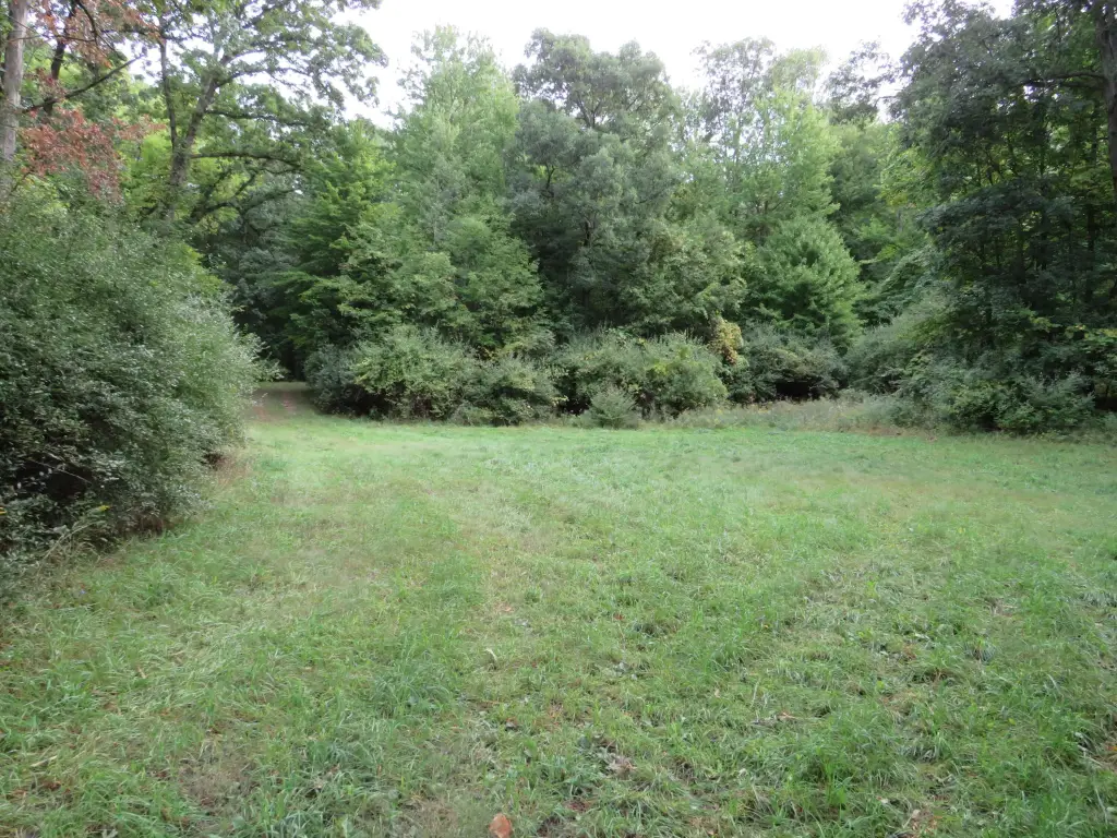 Picture 5