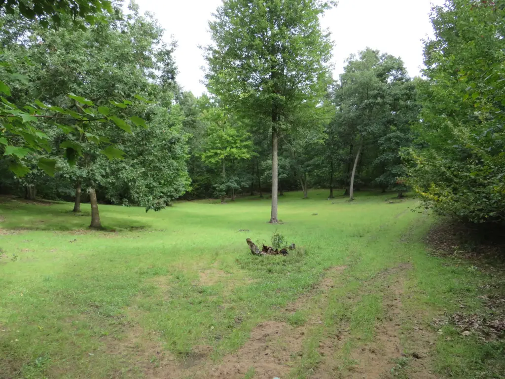 Picture 19
