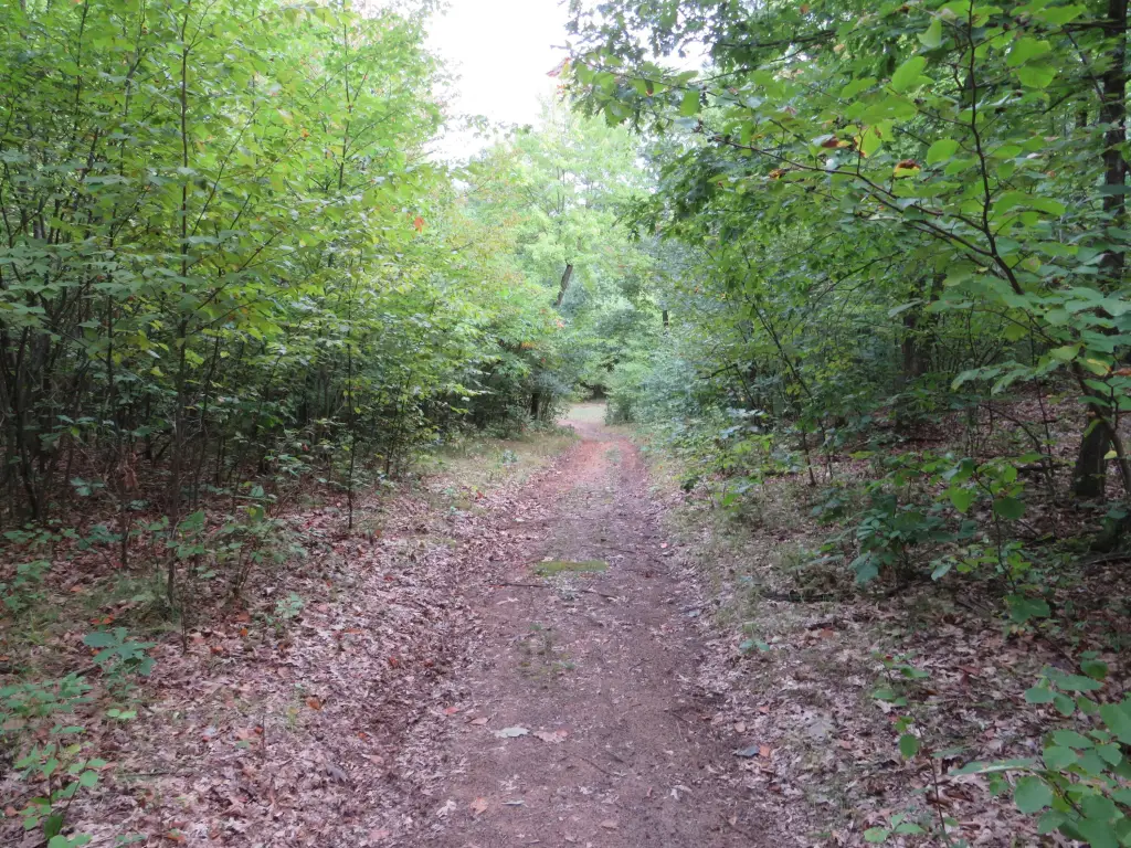 Picture 17