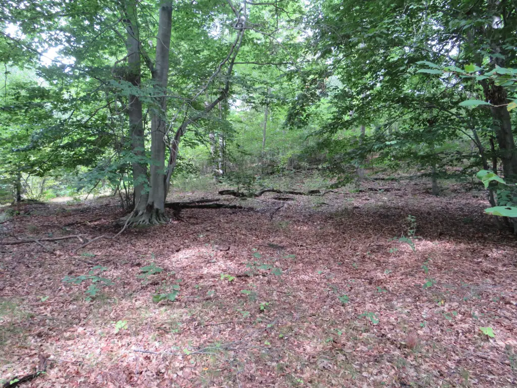 Picture 40