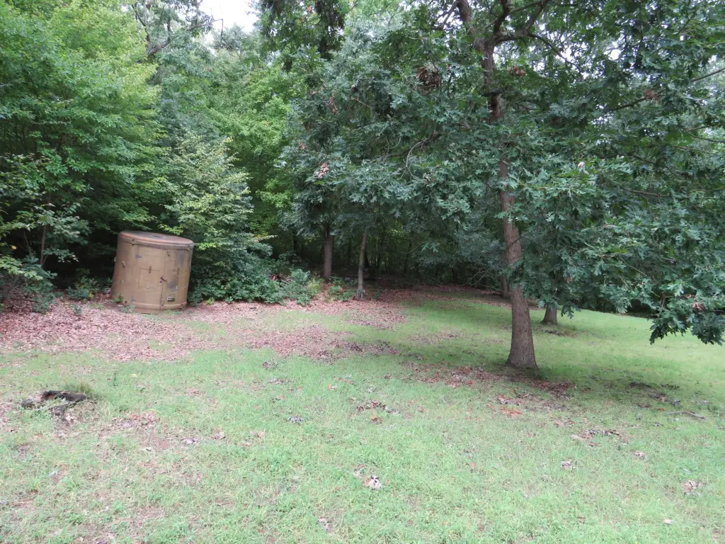 Picture 20