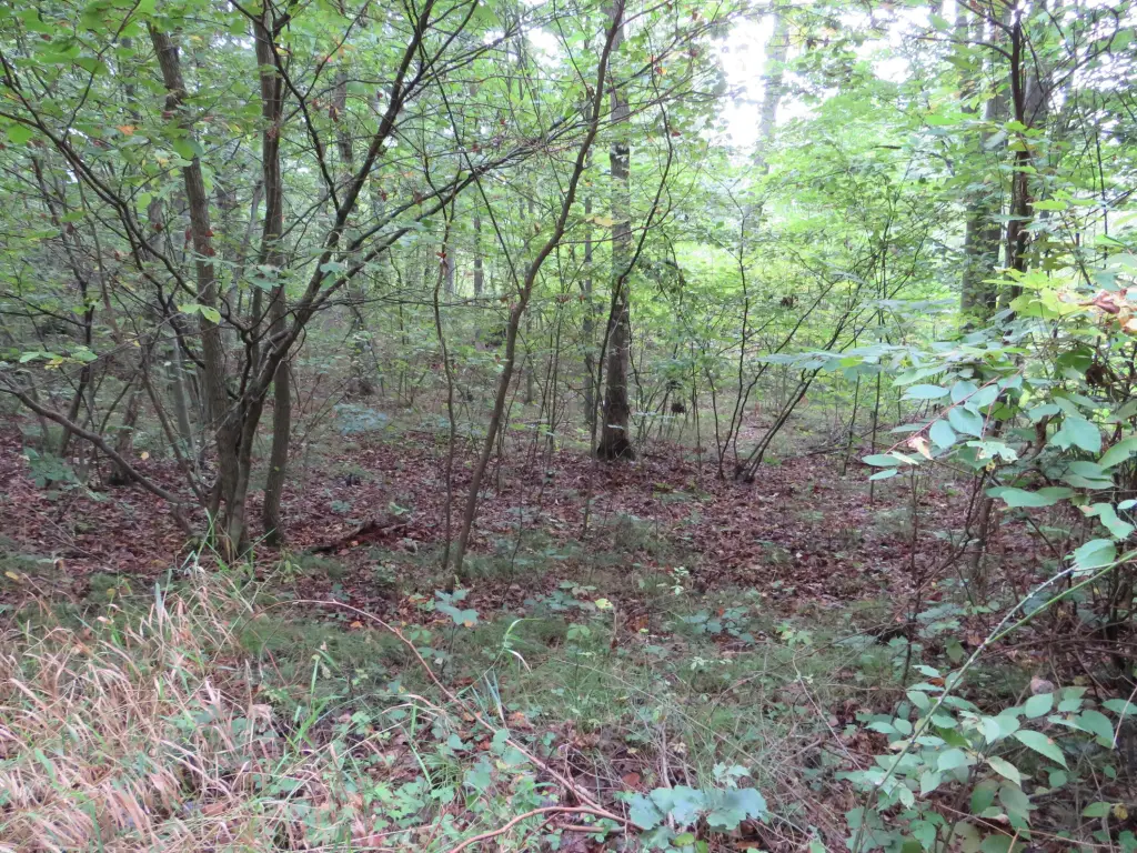 Picture 10