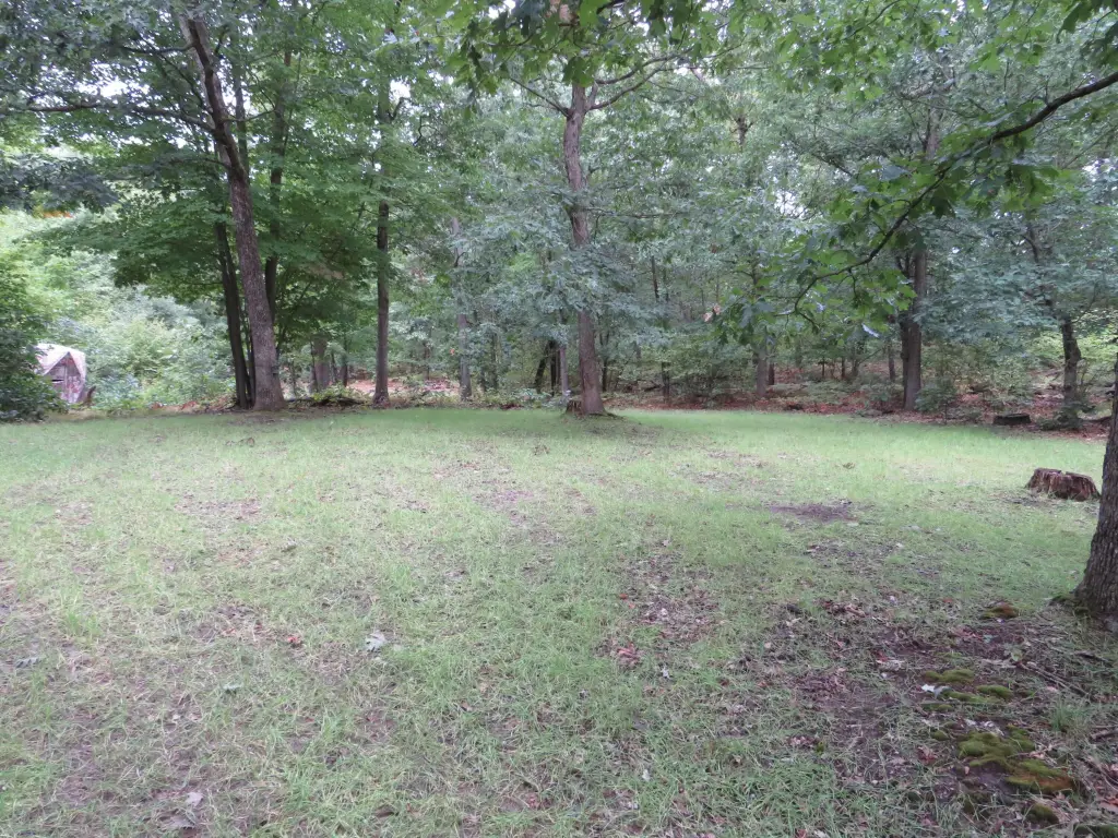 Picture 32