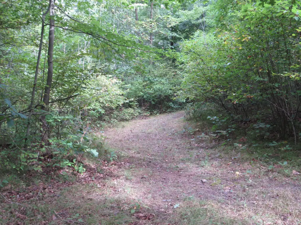 Picture 12