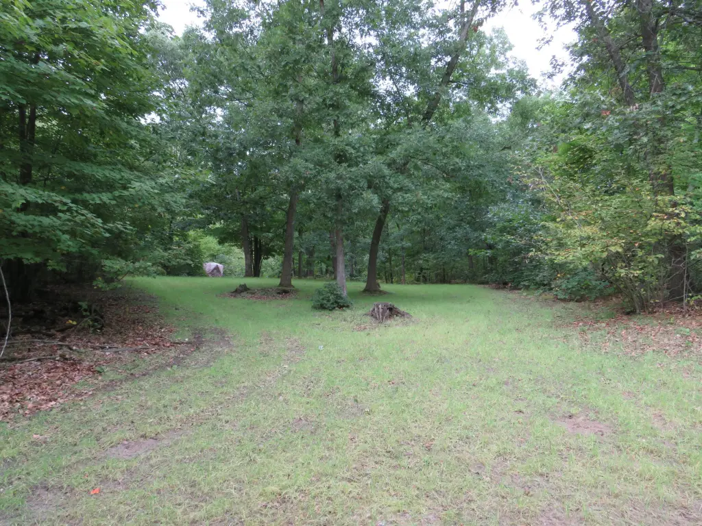 Picture 31