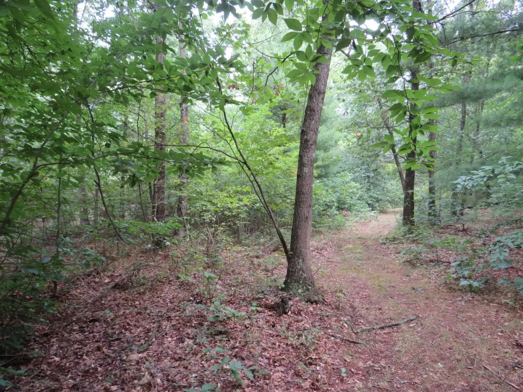 Picture 42