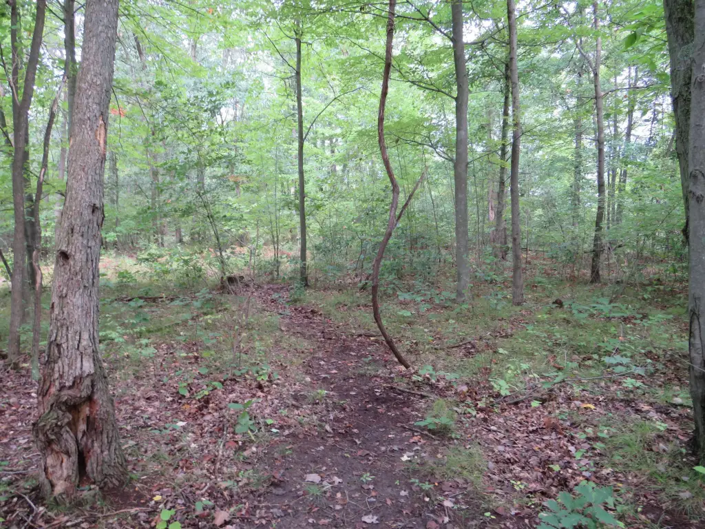 Picture 16
