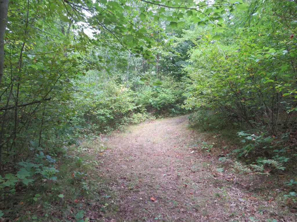 Picture 60