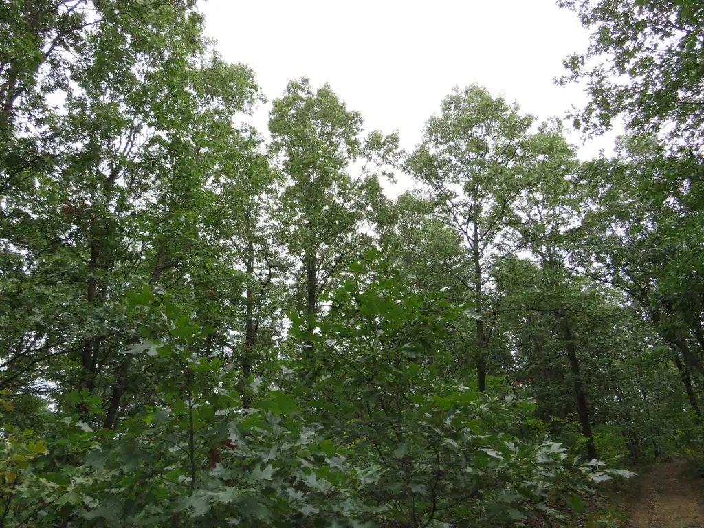 Picture 24