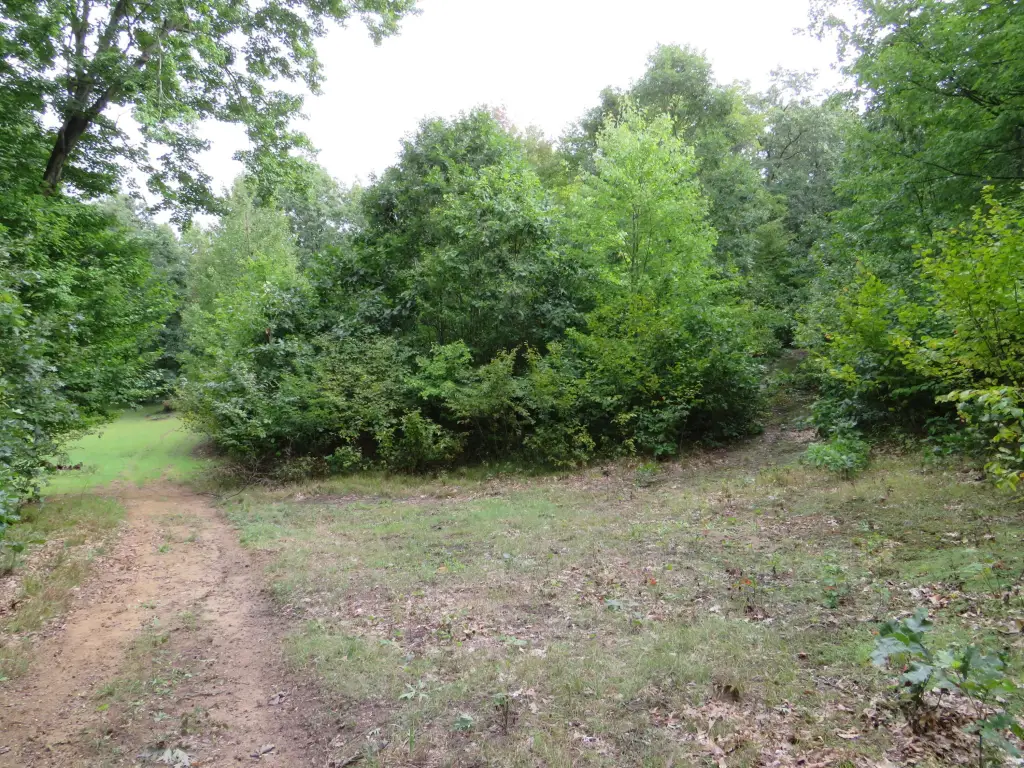 Picture 18