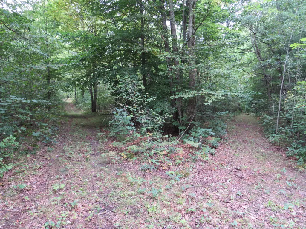 Picture 48