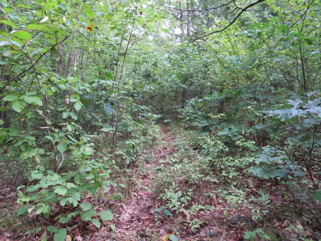 Picture 14