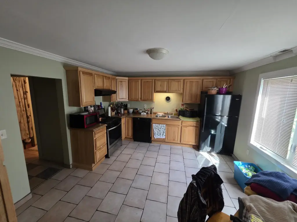 Picture 13