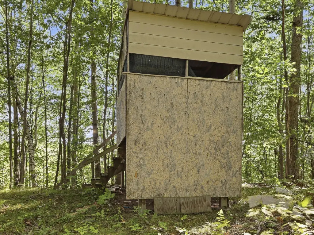 Picture 25