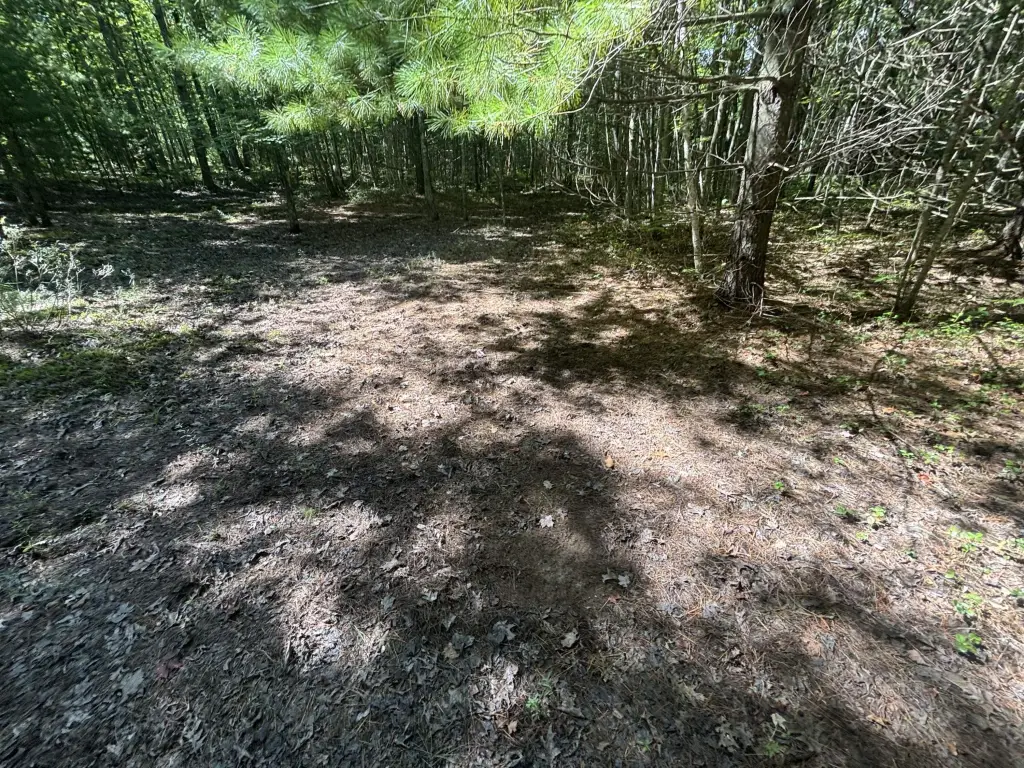 Picture 16