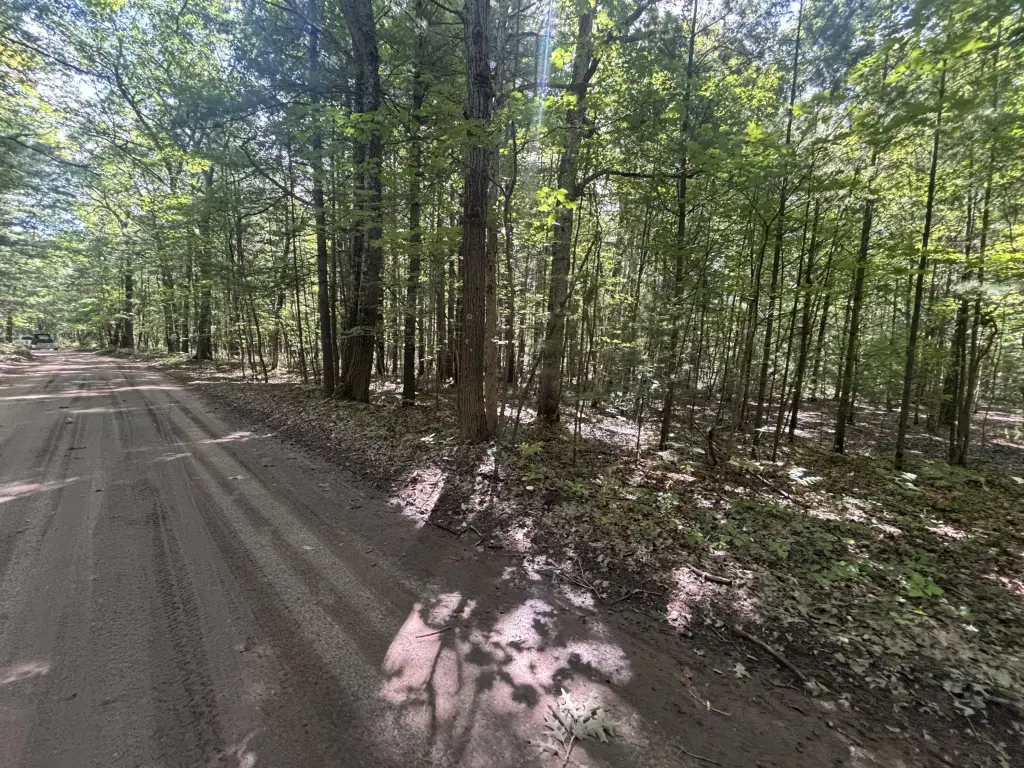 Picture 19