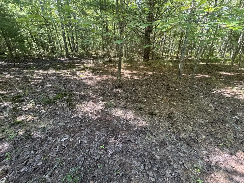 Picture 17