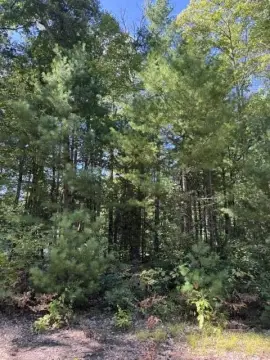 Five-Lot Recreation Land