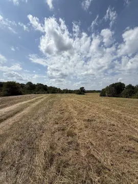 Hardeman County Farmland with Mobile