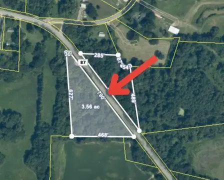 Henning, TN Wooded Land