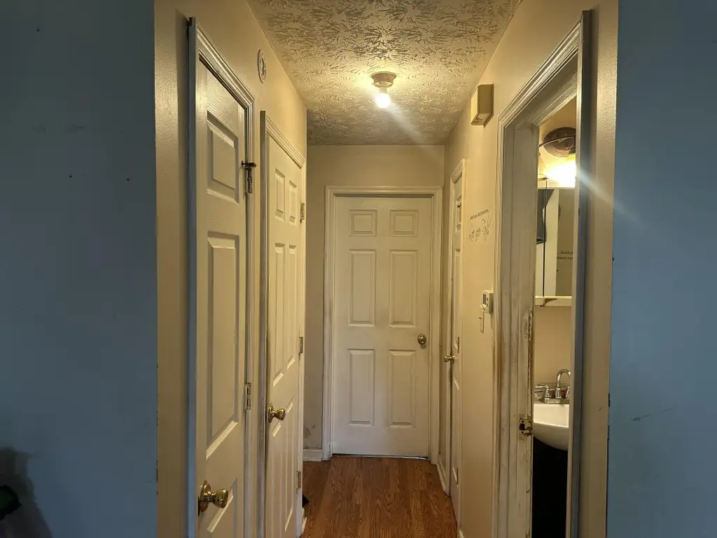 Picture 6