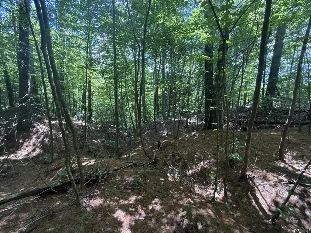 Picture 30