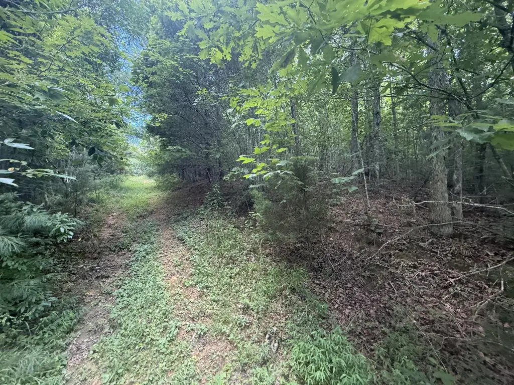 Picture 39