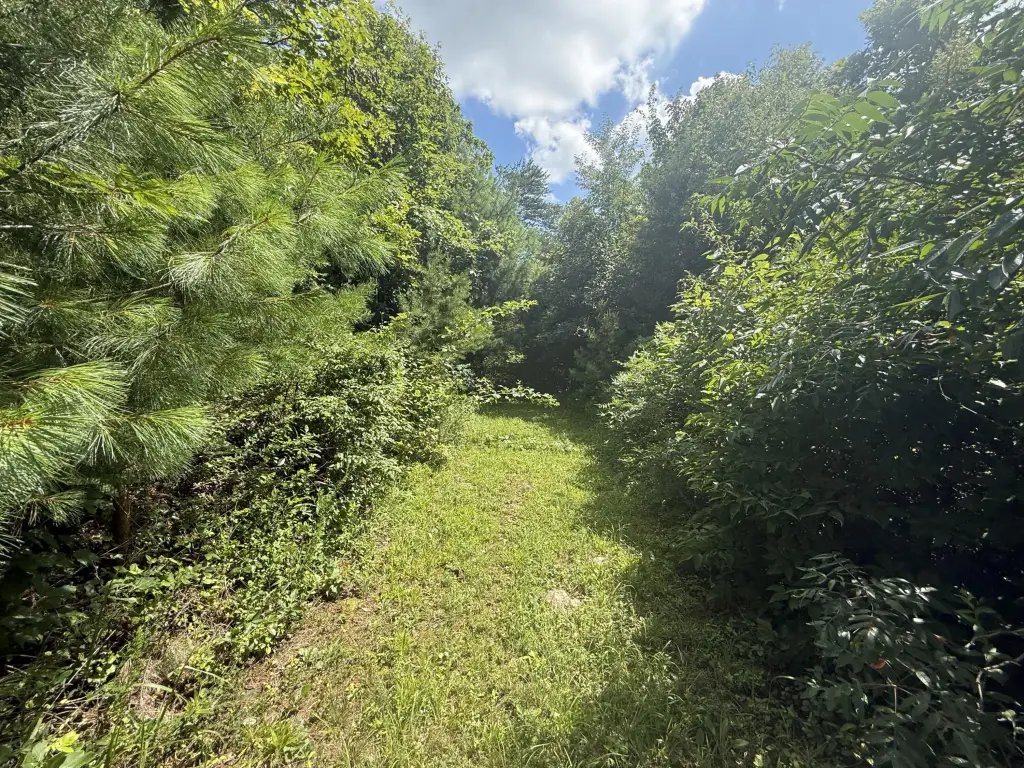 Picture 19