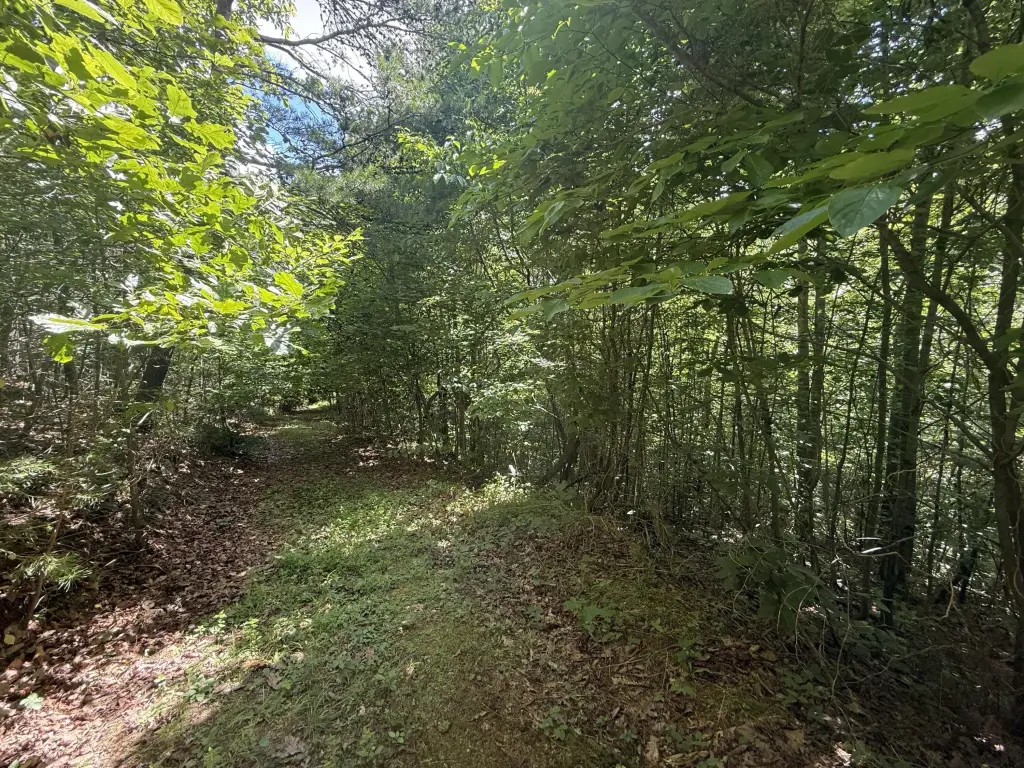 Picture 15