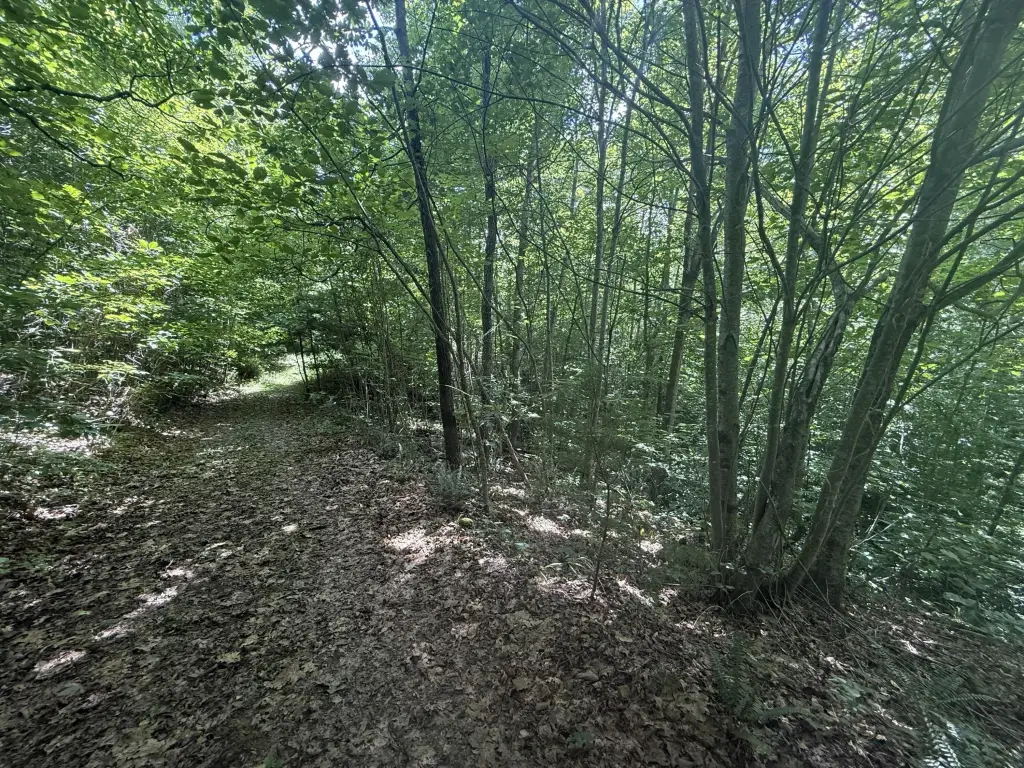 Picture 16