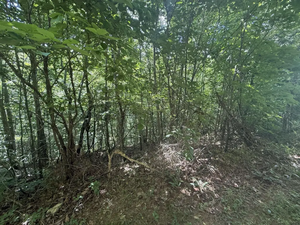 Picture 14