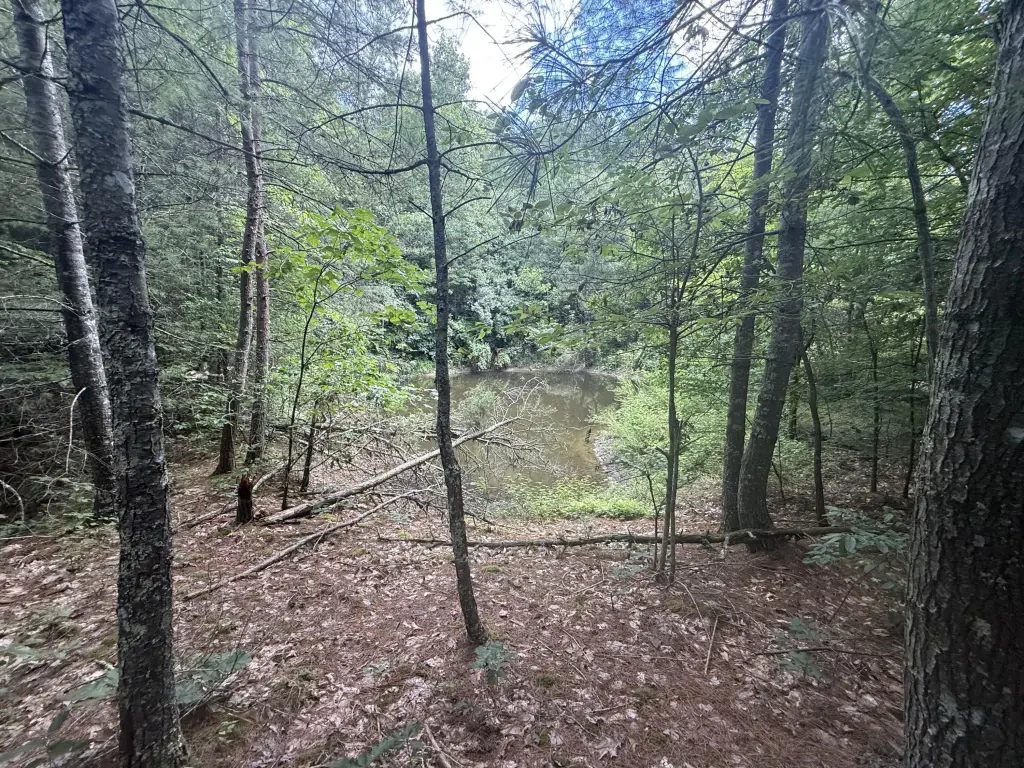 Picture 41