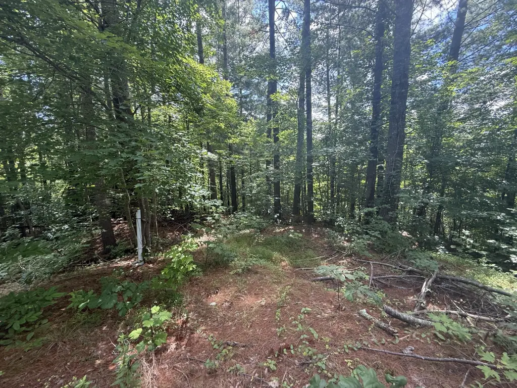 Picture 27