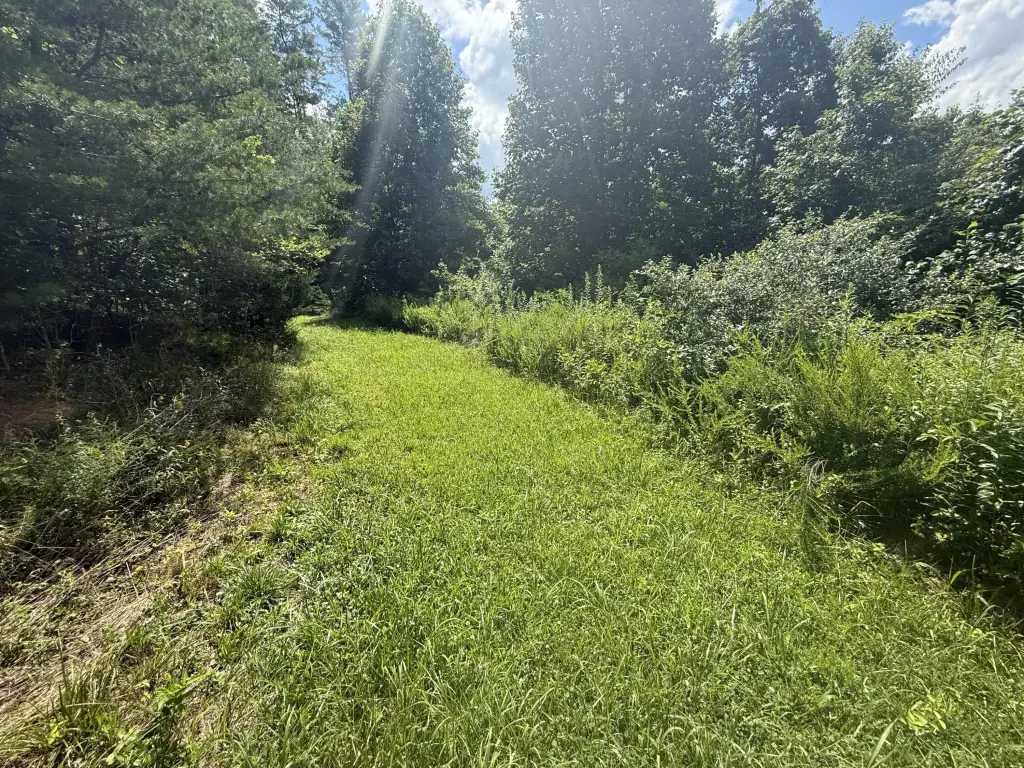 Picture 20