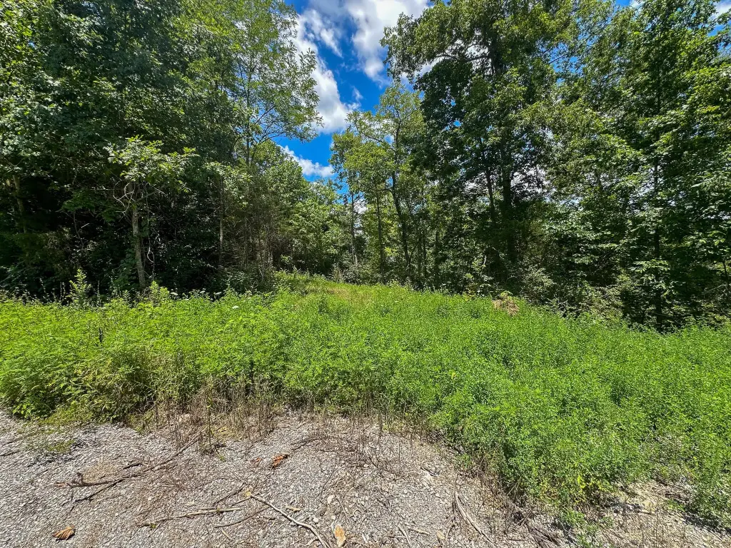 Picture 21