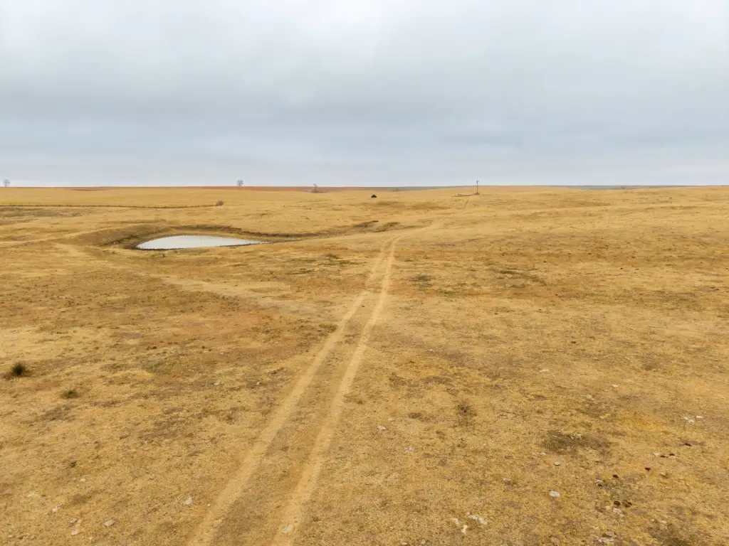 Picture 52
