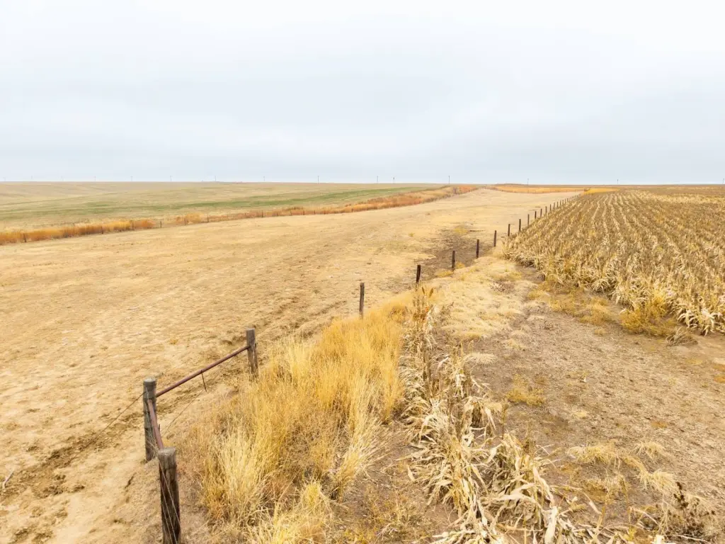 Picture 46