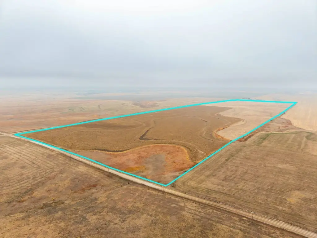 Picture 53