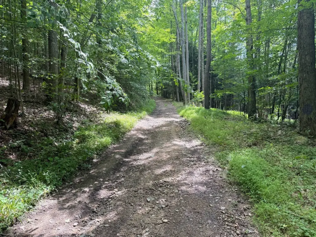 Picture 22