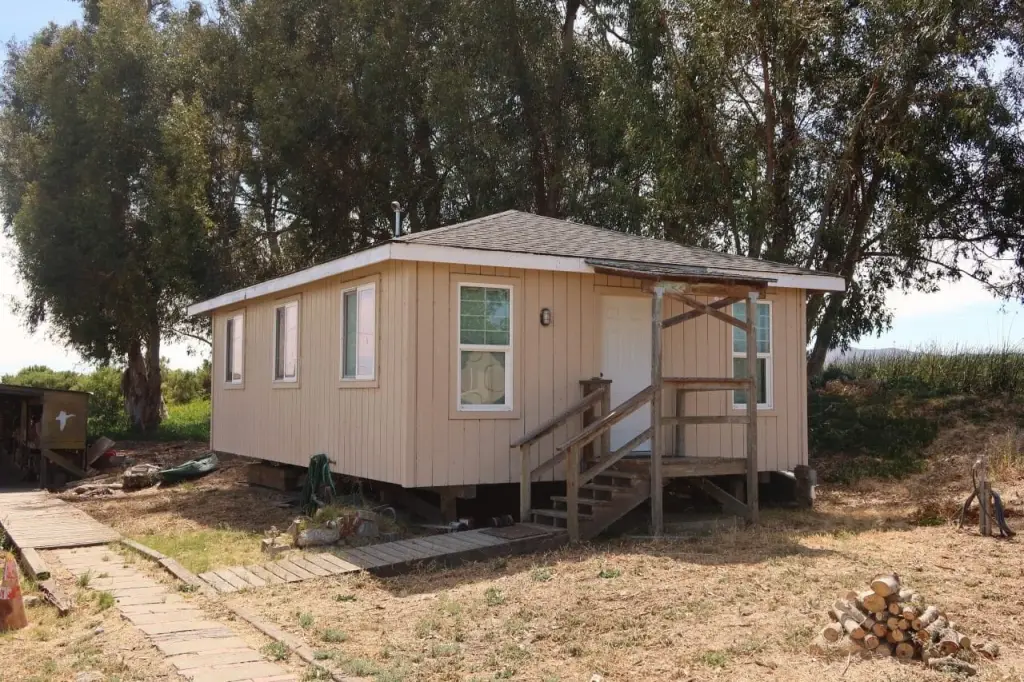 Picture 6