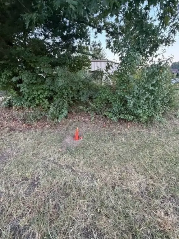 Picture 25