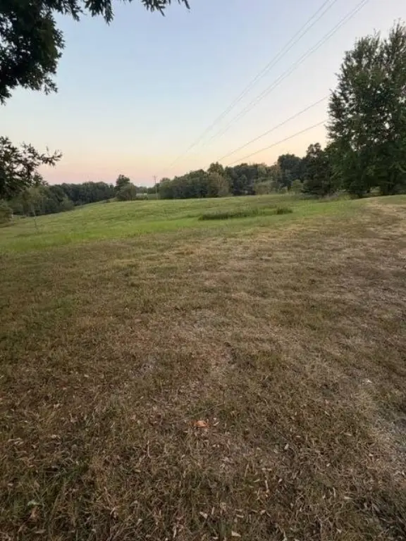 Picture 21