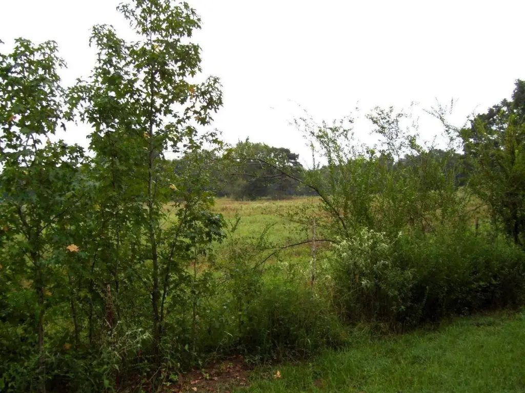 Picture 13