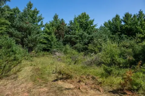Wooded Acreage in Sister Bay