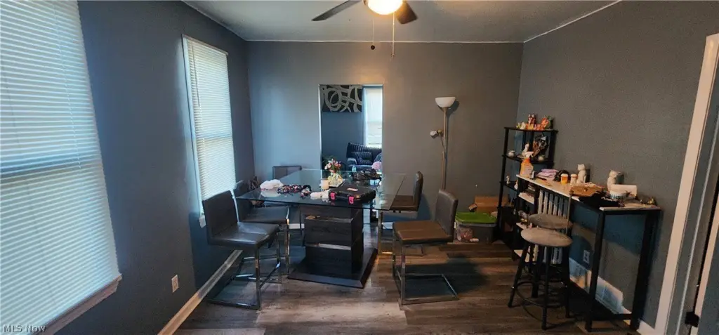 Picture 19