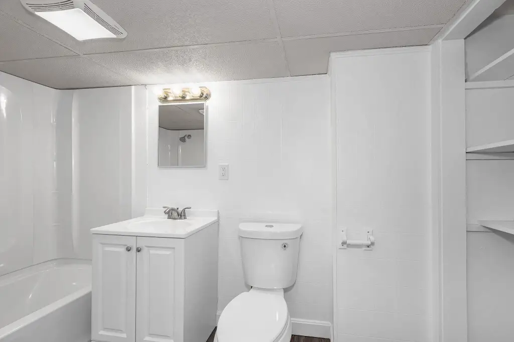 Picture 21