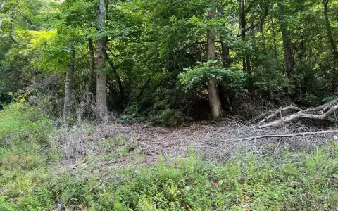 Hayesville Land with Mountain Views