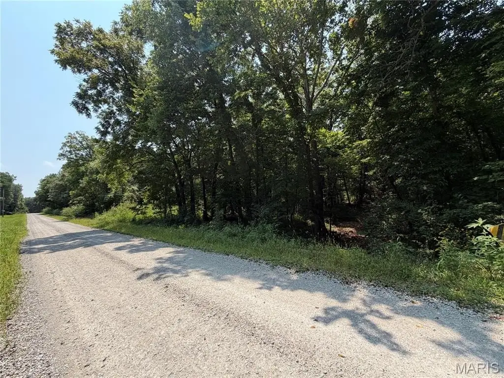 Picture 21