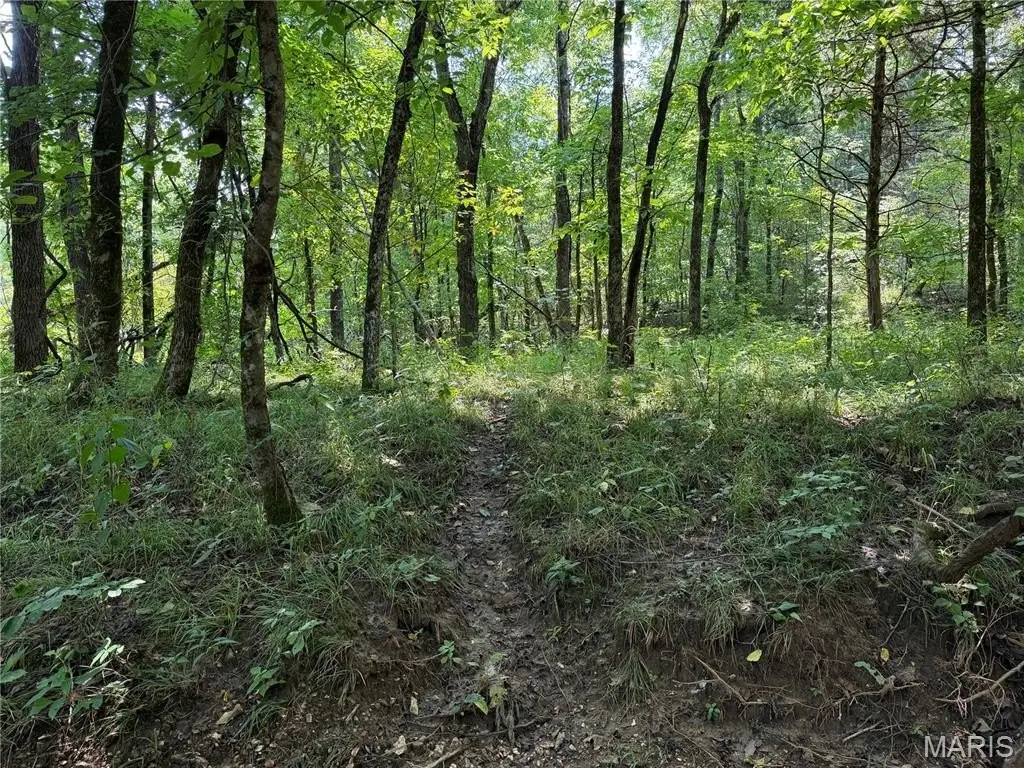 Picture 28